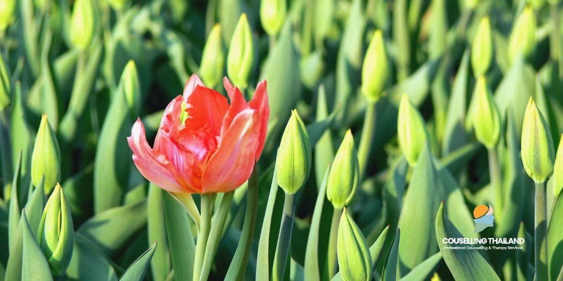 3 สัญญาณที่บ่งบอกว่าคุณกำลังเผชิญกับ Tall Poppy Syndrome